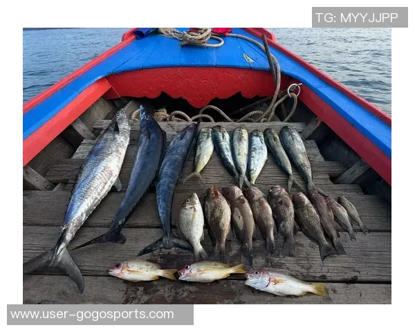 拉什福德分享海钓乐趣笑容灿烂展现多彩业余生活 拉什福德分享海钓乐趣笑容灿烂展现多彩业余生活