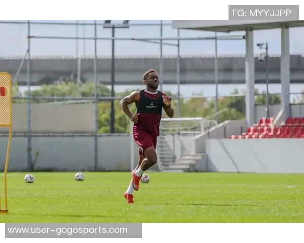 加布里埃尔重返海港签约两年有望赶上亚冠报名或将穿上11号战袍